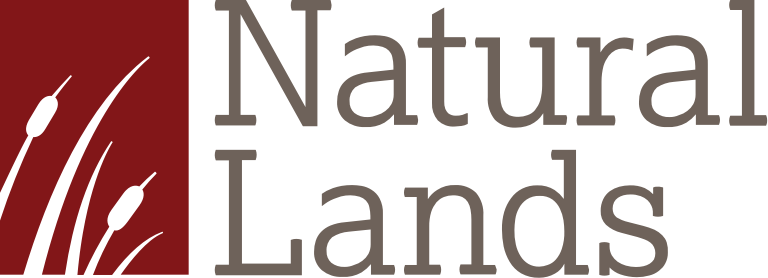 NL Logo